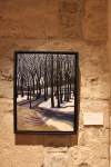 Spring Thaw by Tracey Lawko, Free Motion Embroidery Award