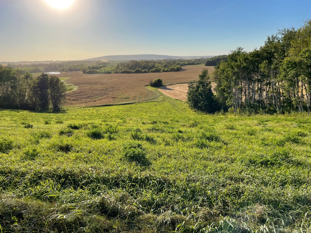 Thunder Hill in the background
